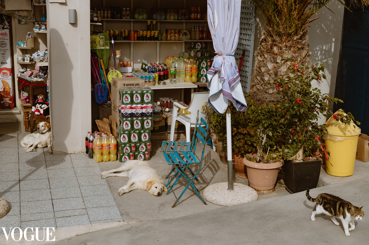 Vogue natalia peryga